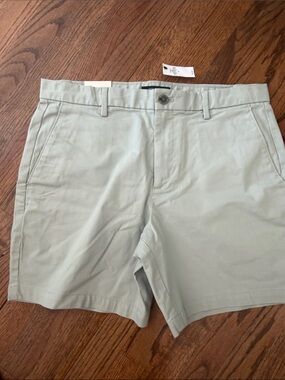 Banana Republic Men's Light Sage Casual Chino Shorts